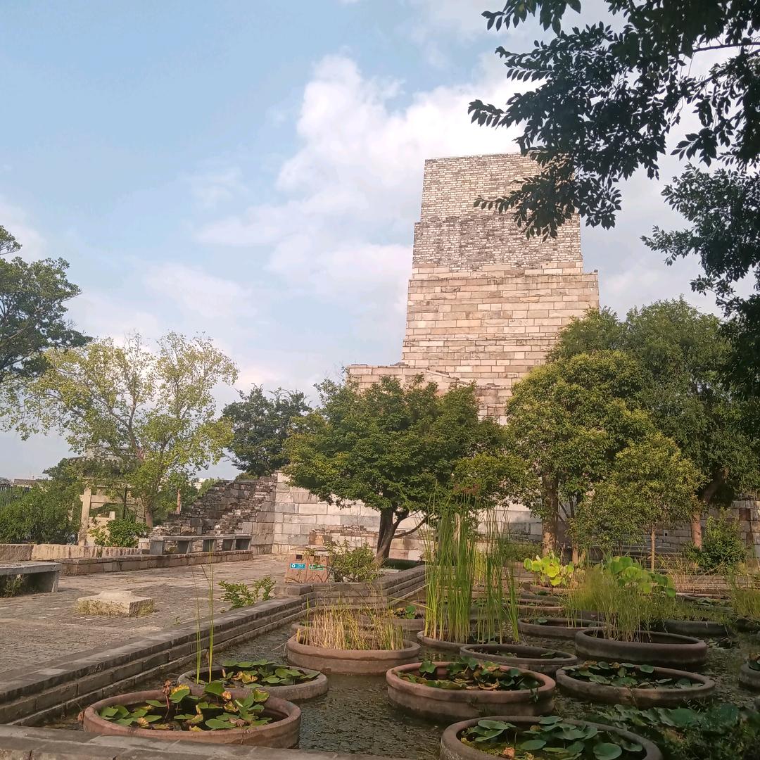 花再好看 也会枯萎