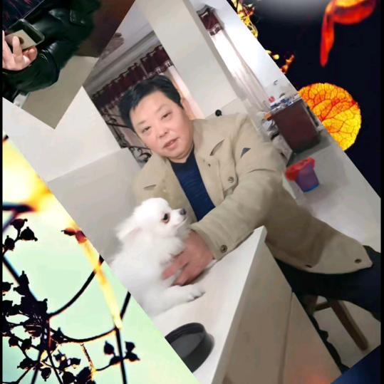 米老头