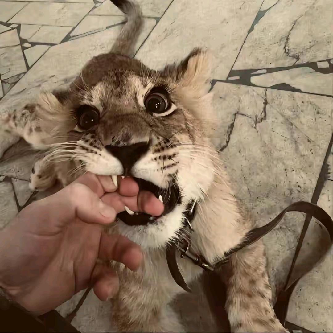 深.