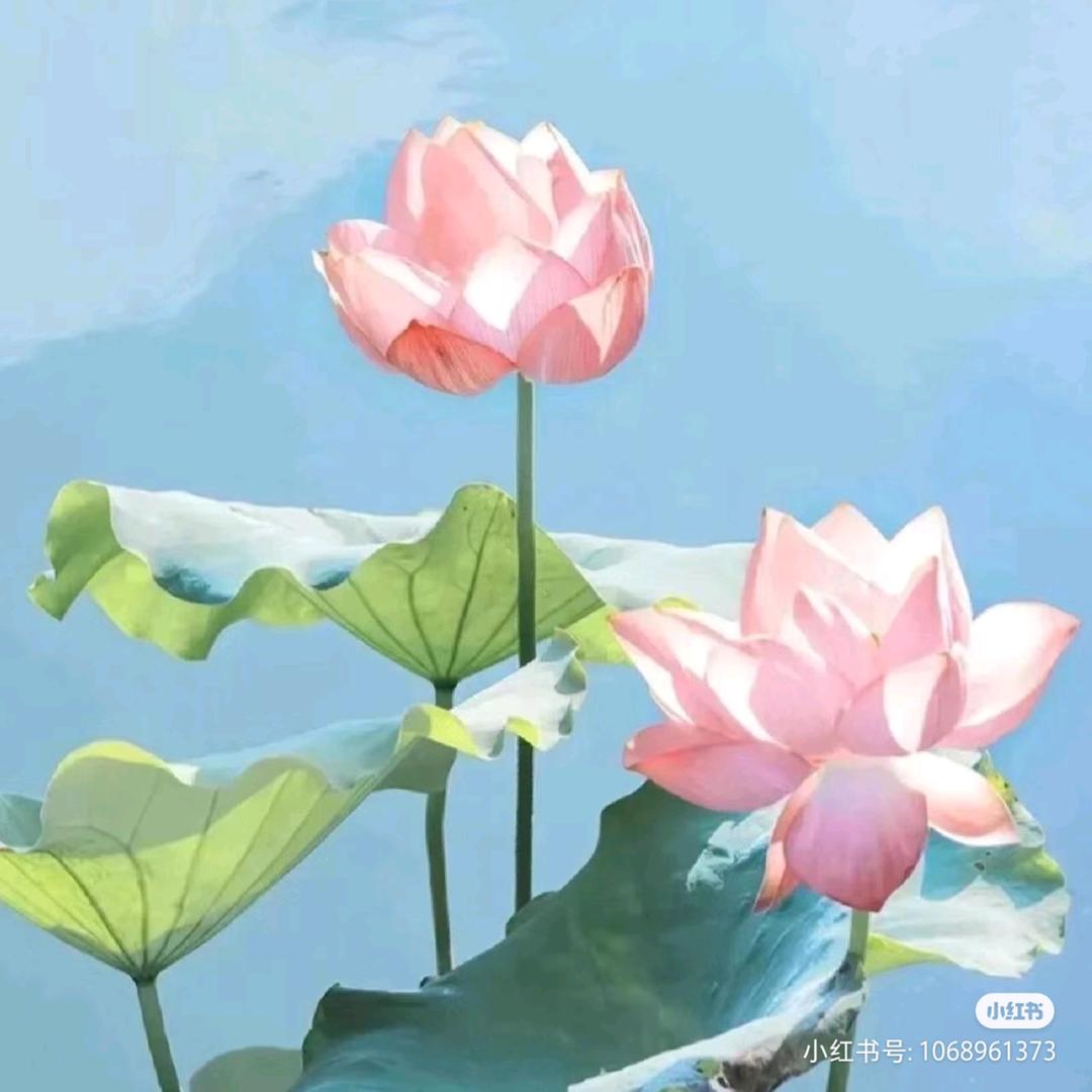 平安才是福