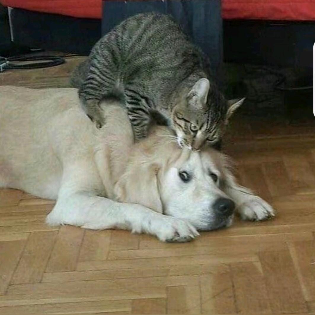 没头脑和不高兴🤪