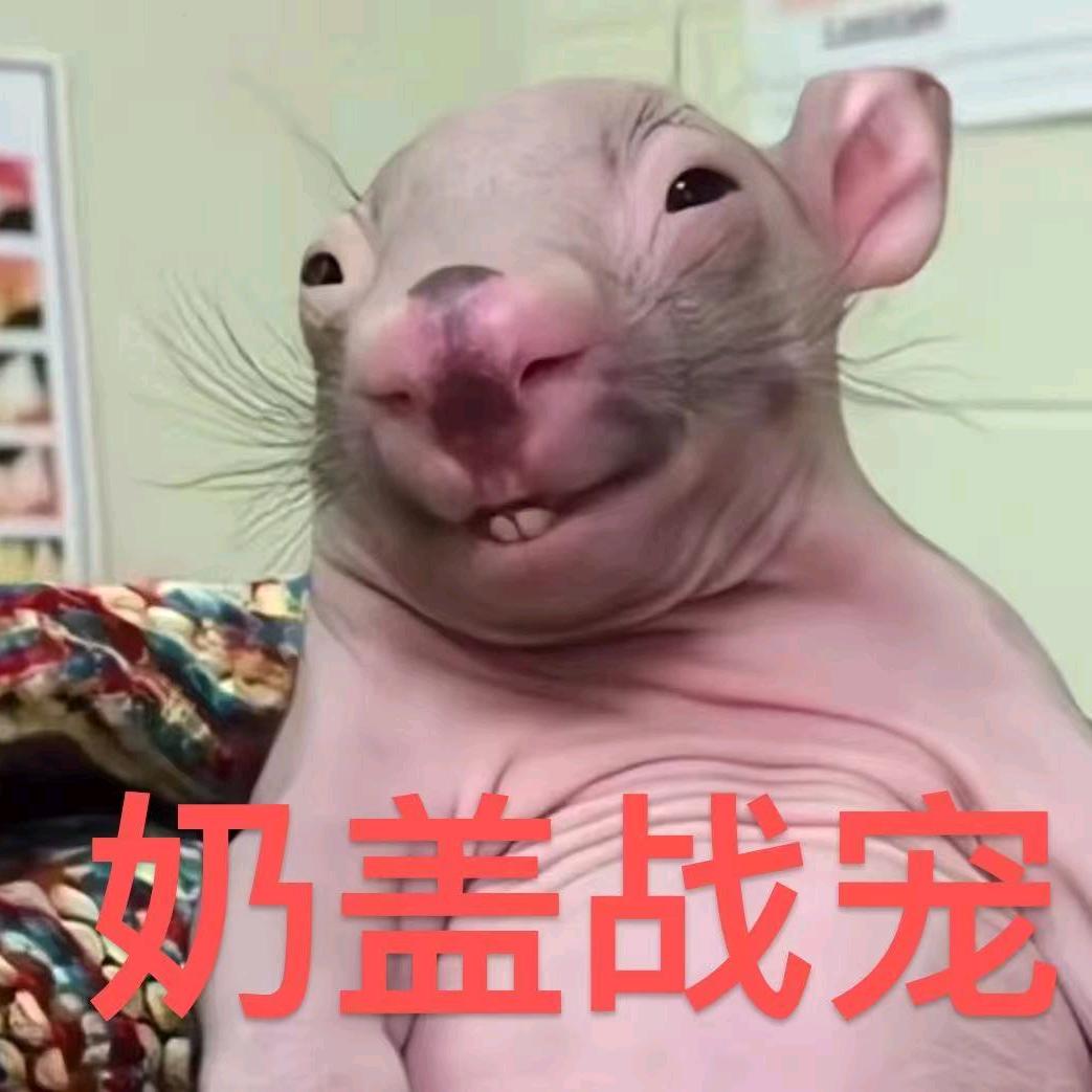 明哲.粤A