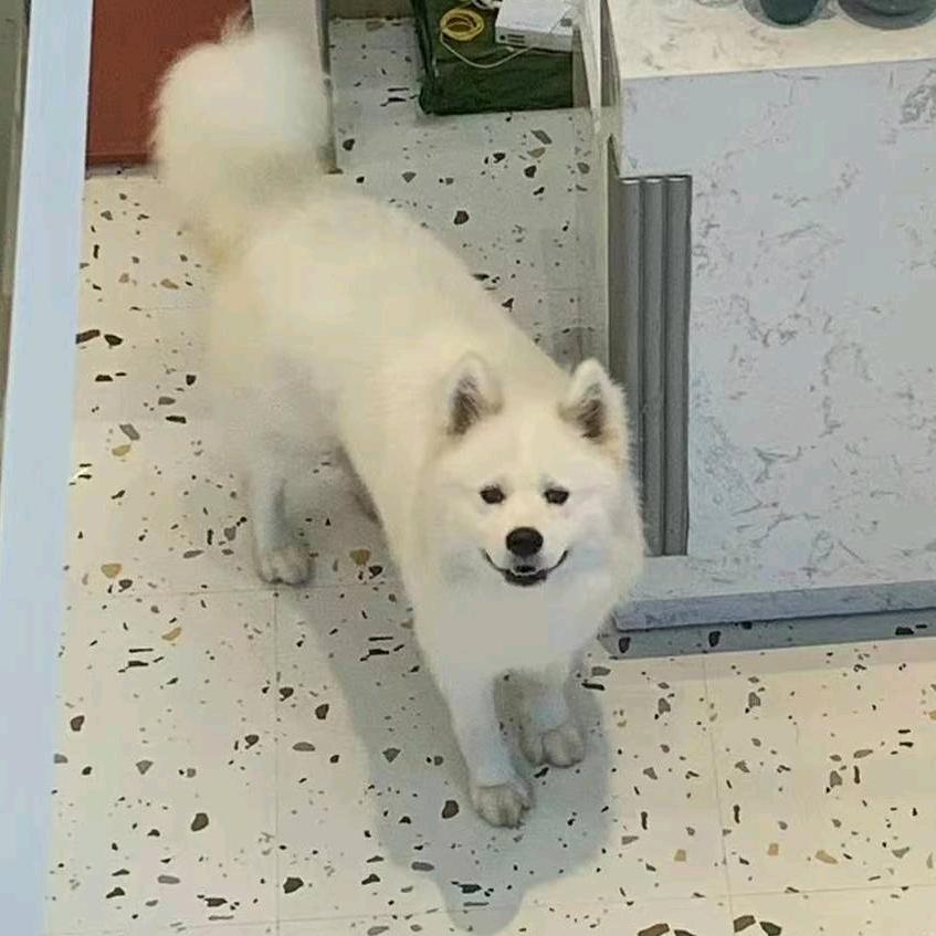 姚家