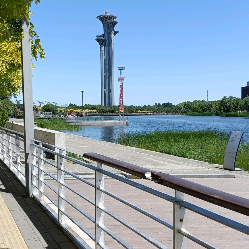 心   想   事   成