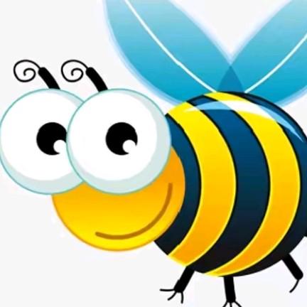 武功县小黄蜂家政（招学员）