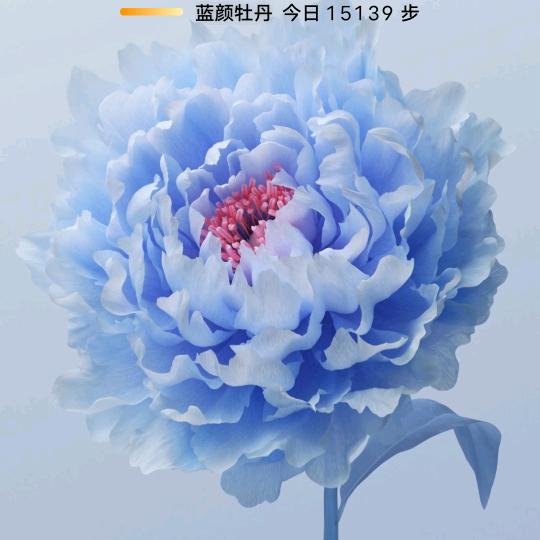 💫幸福相伴，💫