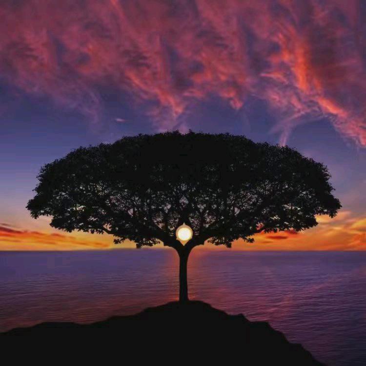 嘘！有树洞@抖音