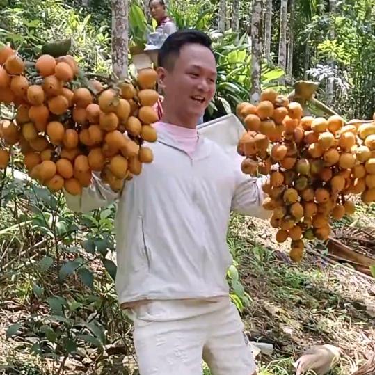 岛民万仔