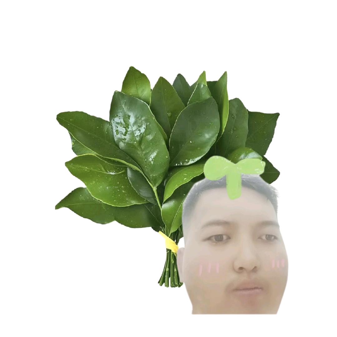 善良的哑巴开汽车