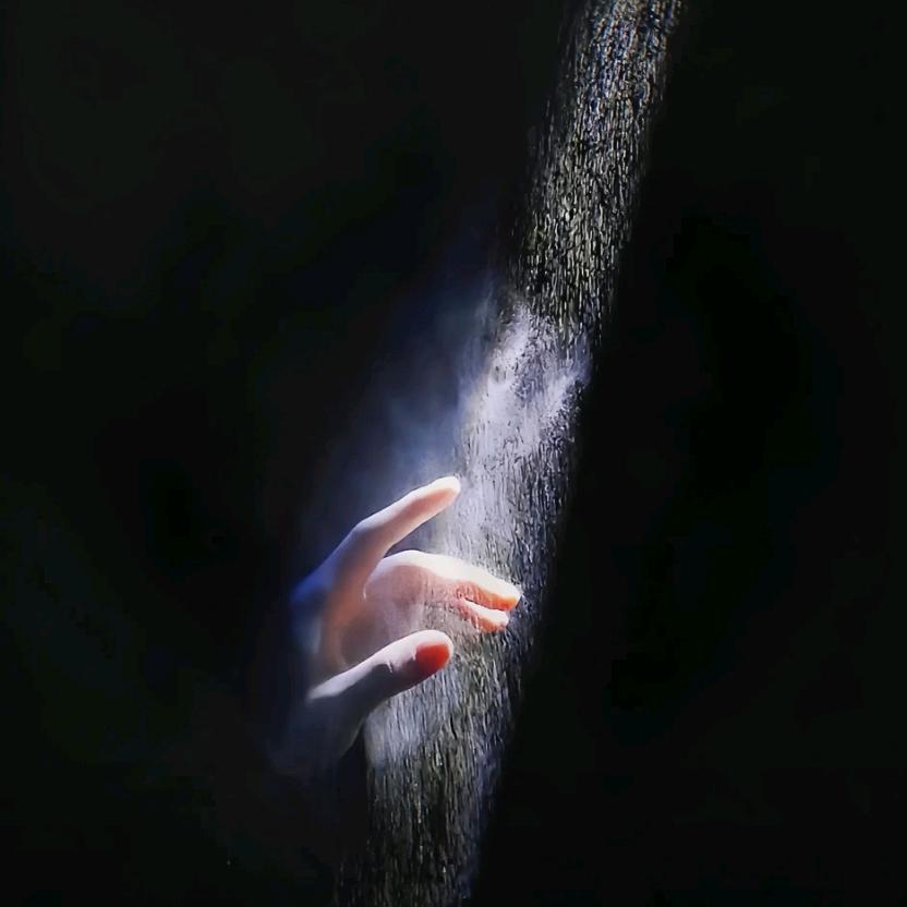 文陌动漫