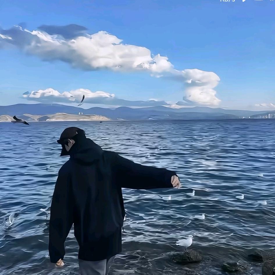 重生之我要当沪少