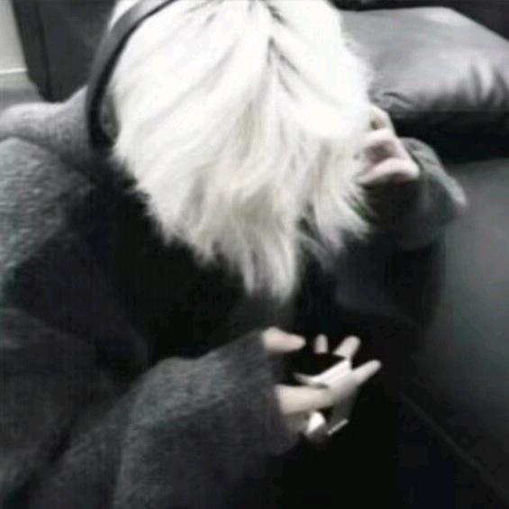 鹤禾