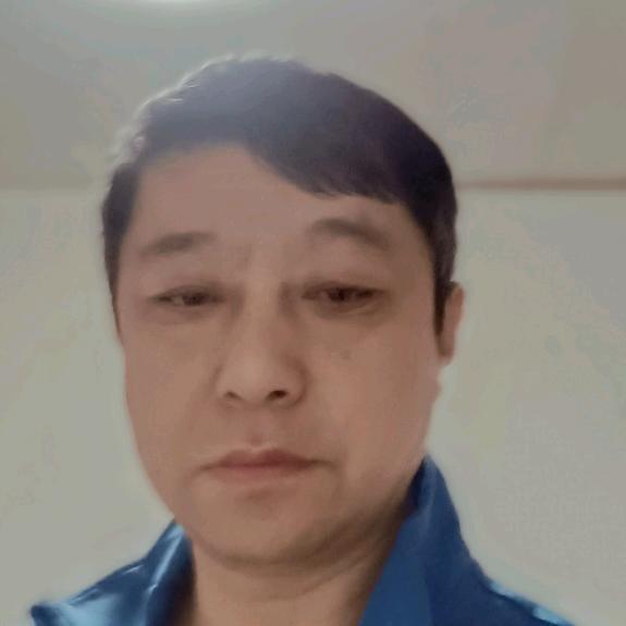 胡涂的猪