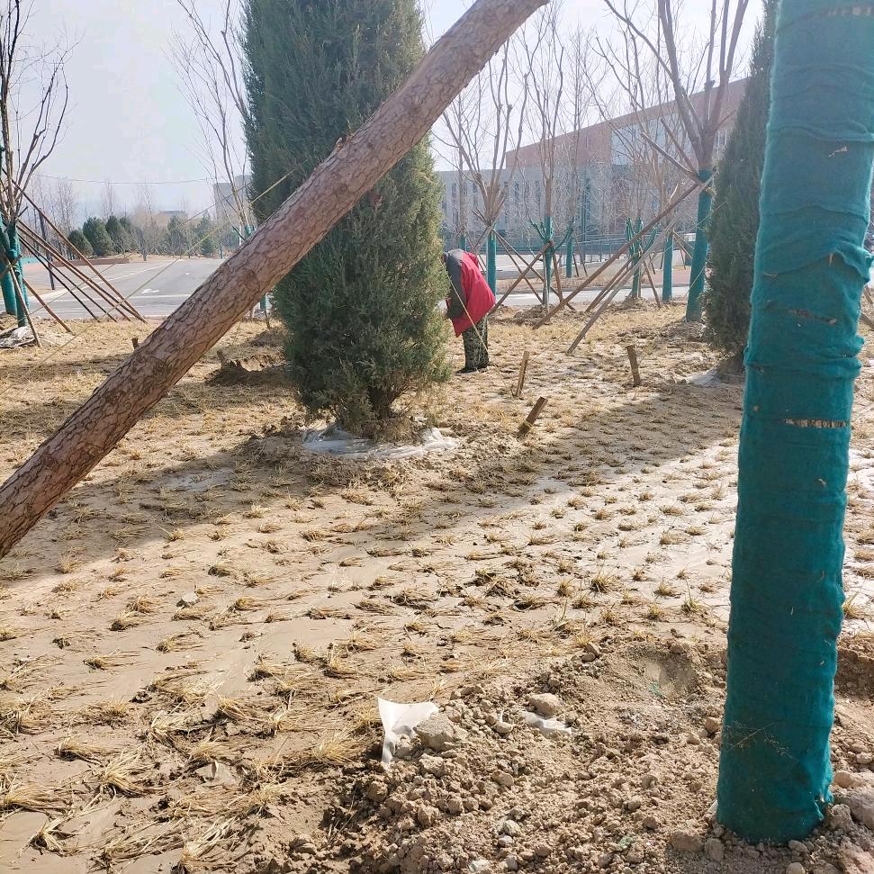 廊坊市，石家庄😳