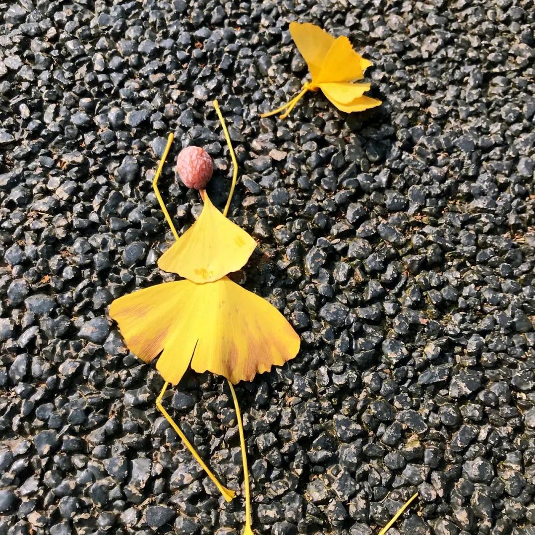 遇与鱼