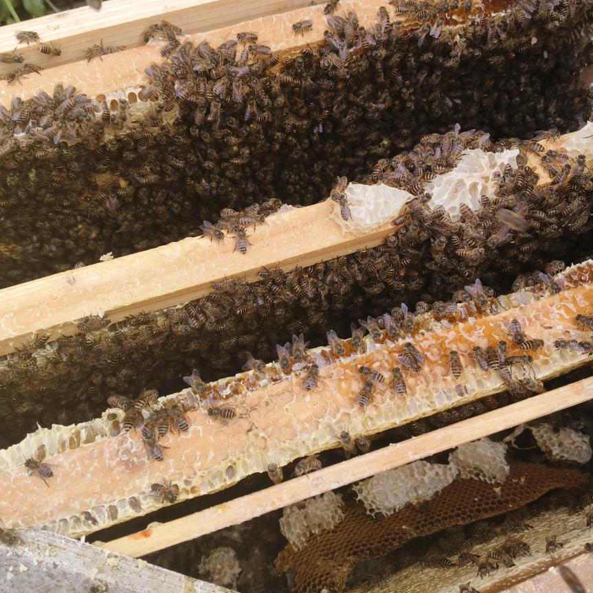 用户25733241梦里想我