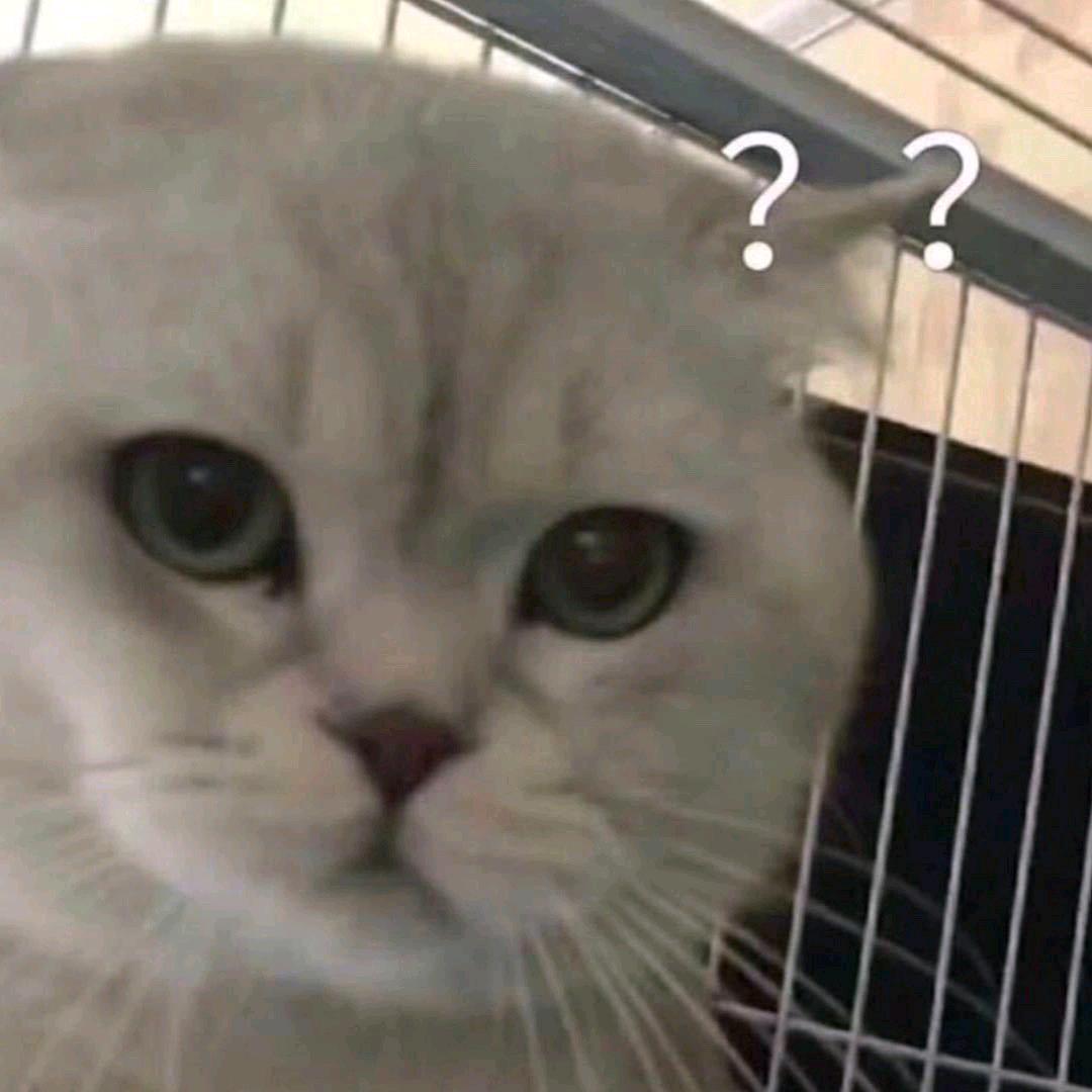 嘎嘎冷