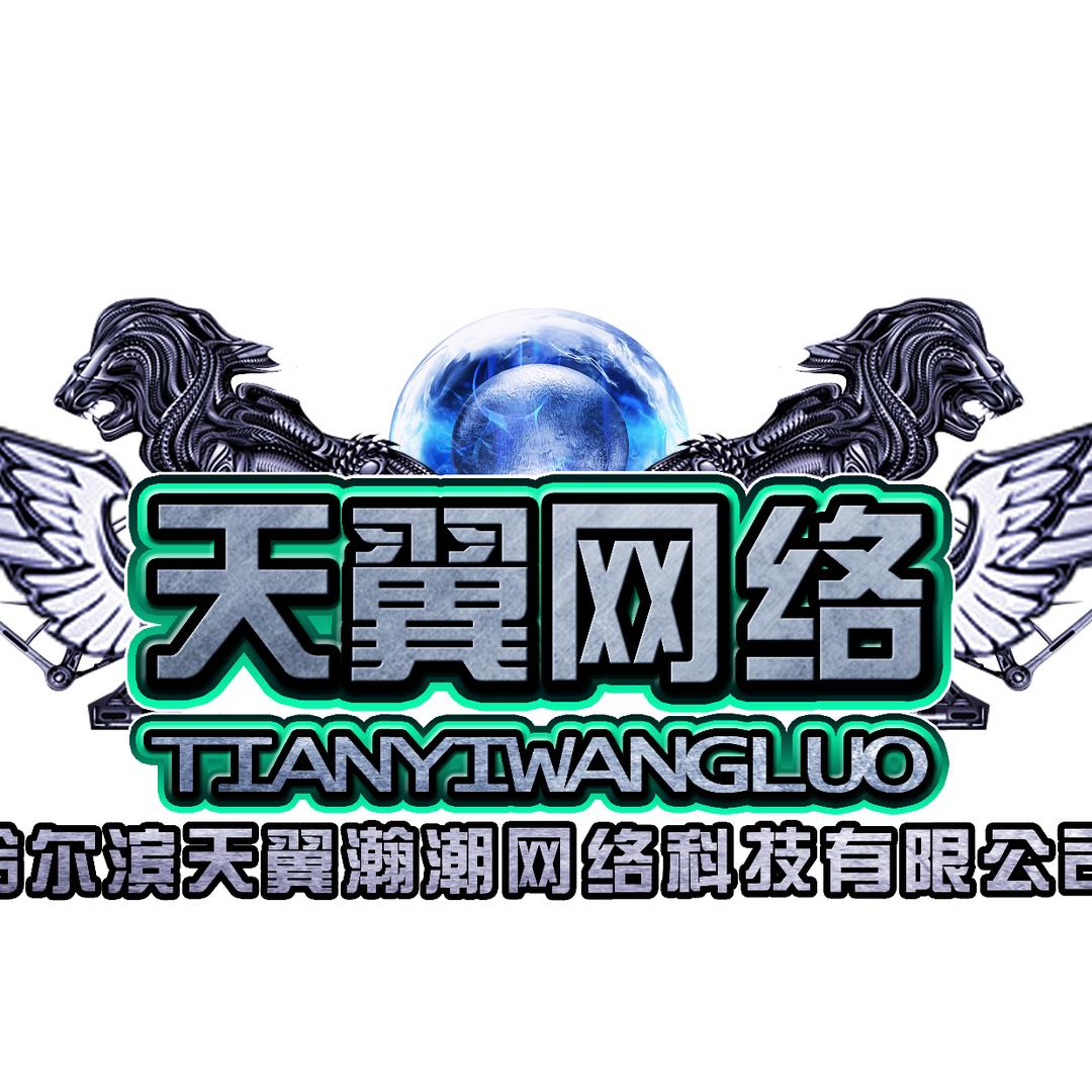 天翼瀚潮网络