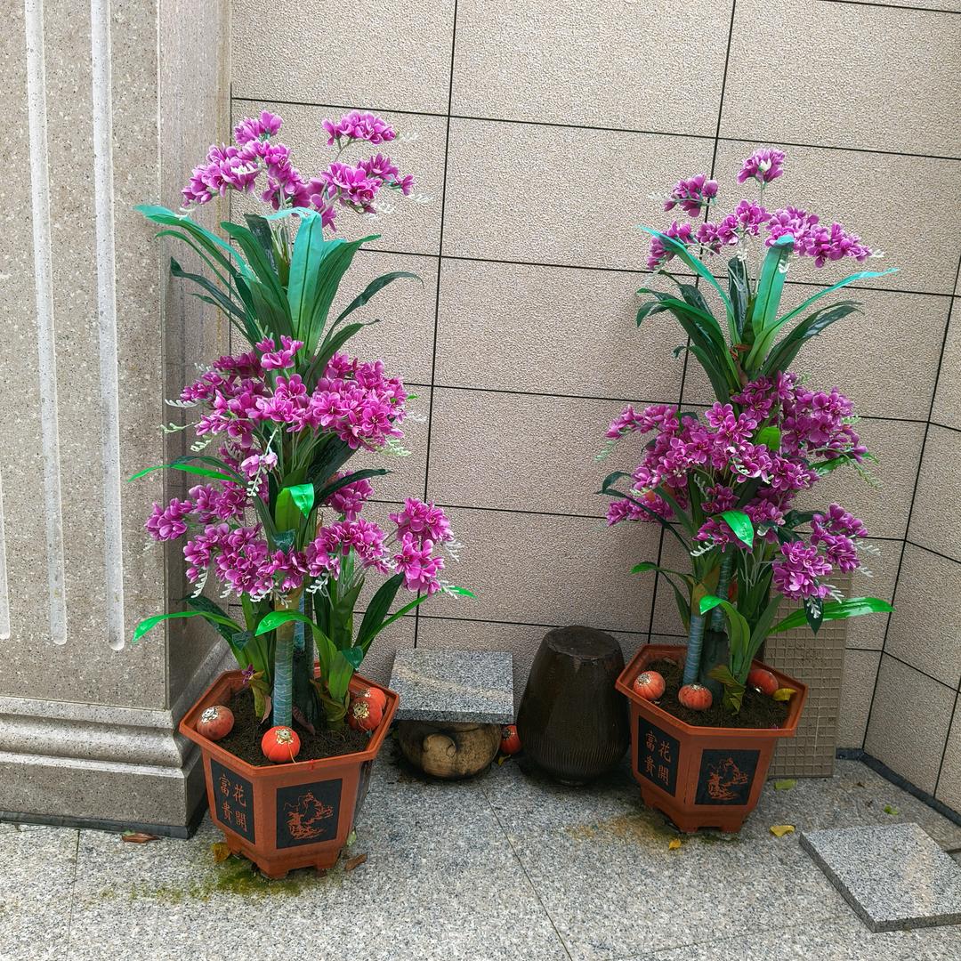 勤劳靠自己