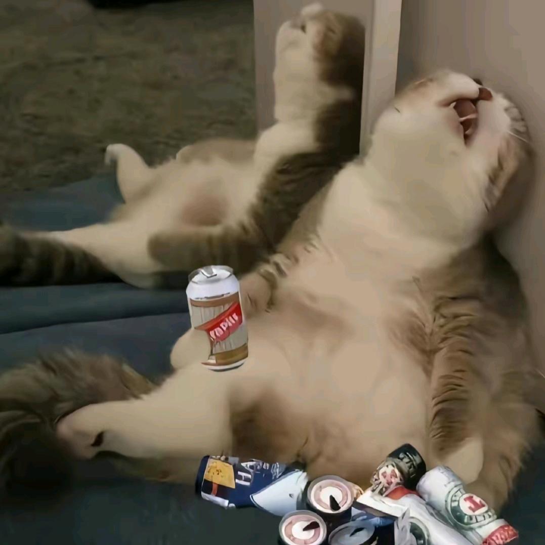 秋铭