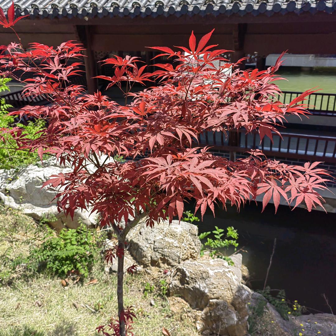 阳光点点