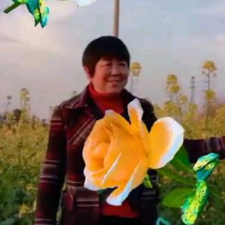 百花盛开