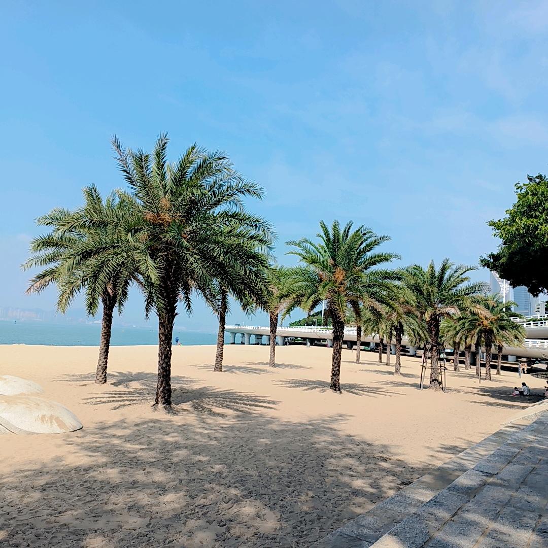 @yi暖橙子🍊爱🇨🇳中国万岁