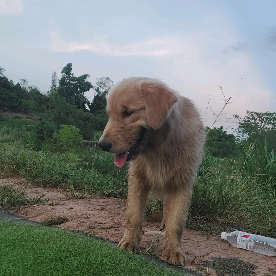 爱钓鱼🎣的小涛涛