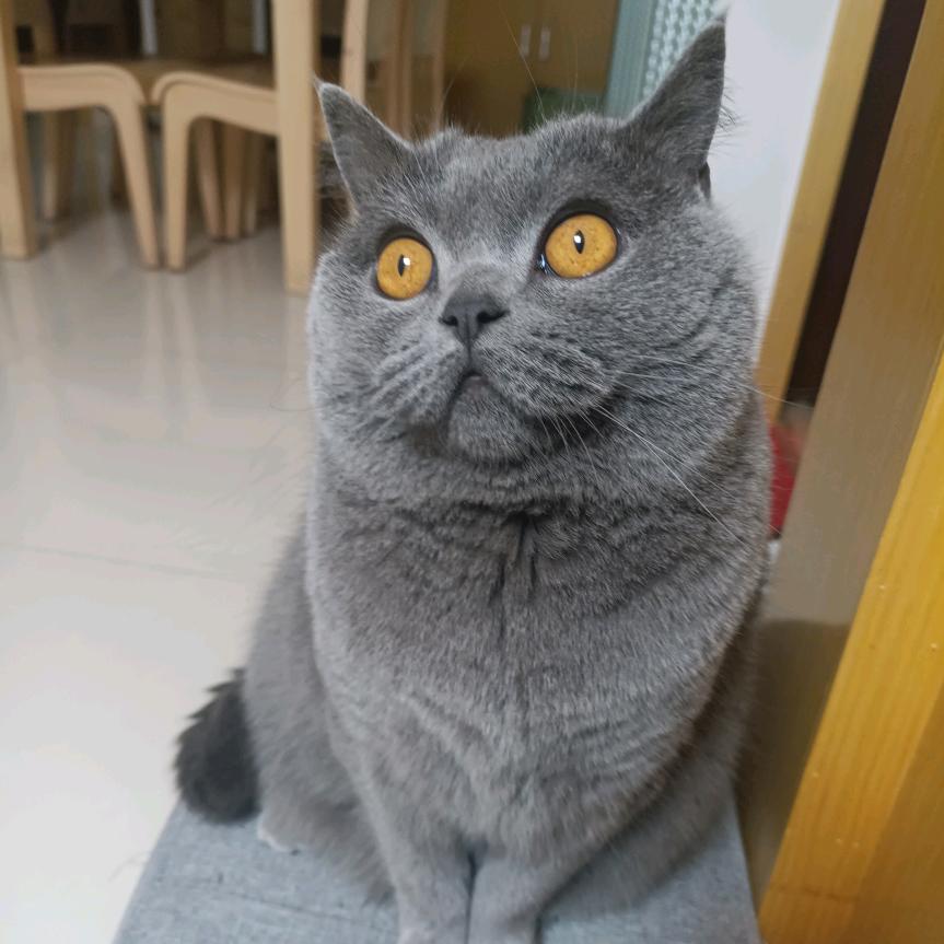 爱转角
