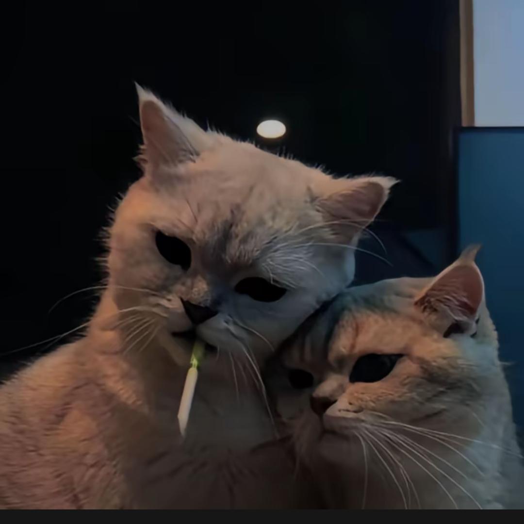 暨霓臺癦曦隆毅澬霁叠胤番嚛曦馹鈤釰驲屙馁