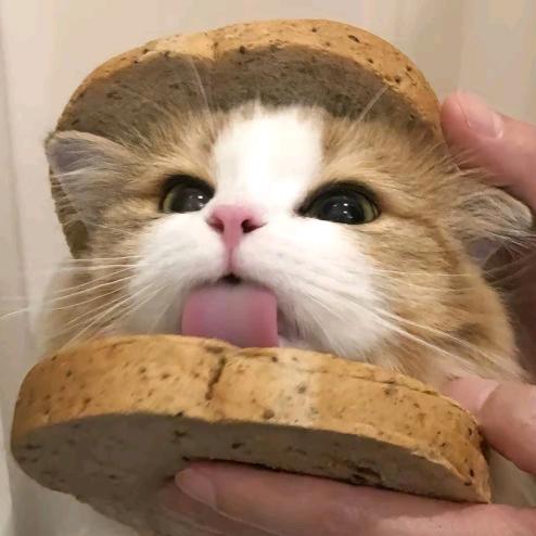 狂炫薯片