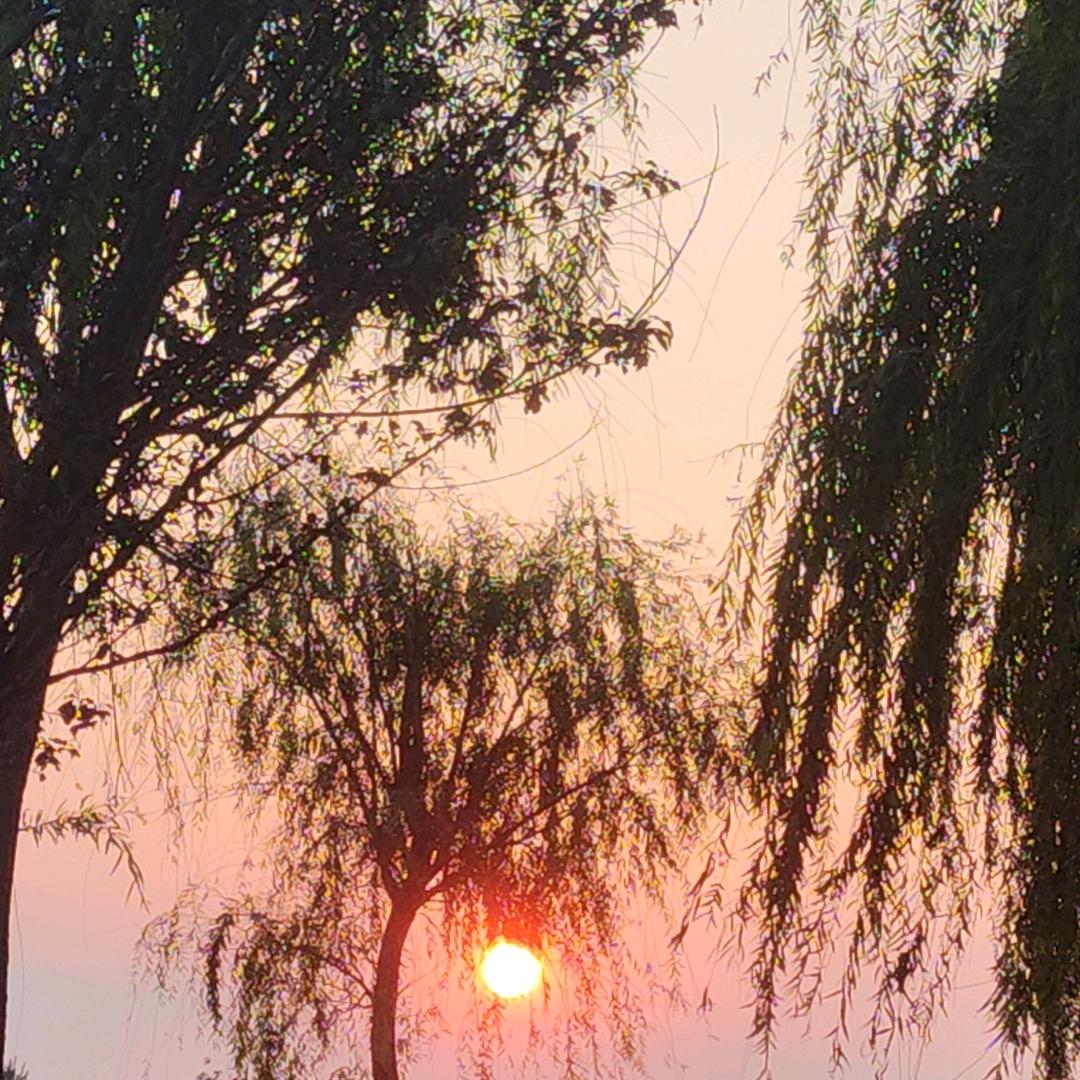 如果岁月可回头