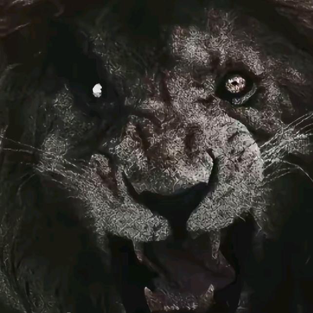 爱睡帐篷的路人