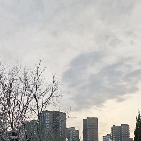 DaytimeRin