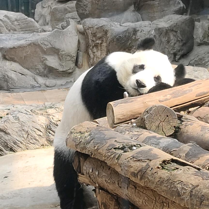 用户1205459714366