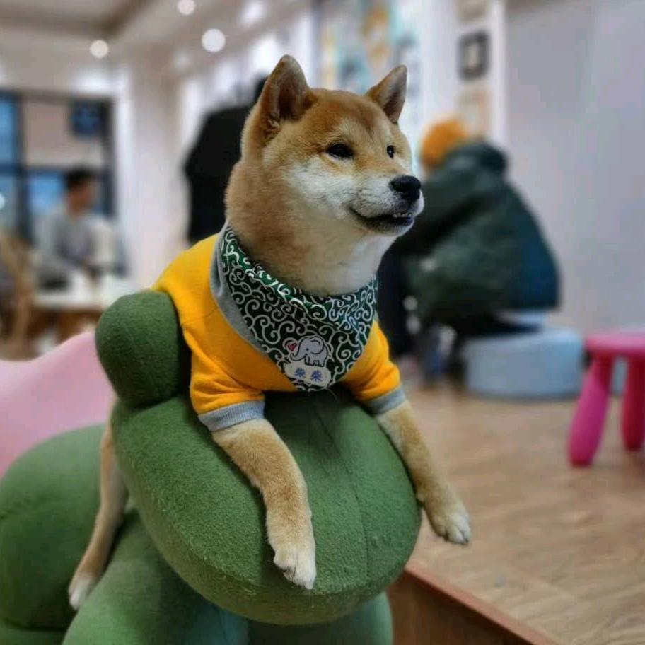 强者恒强