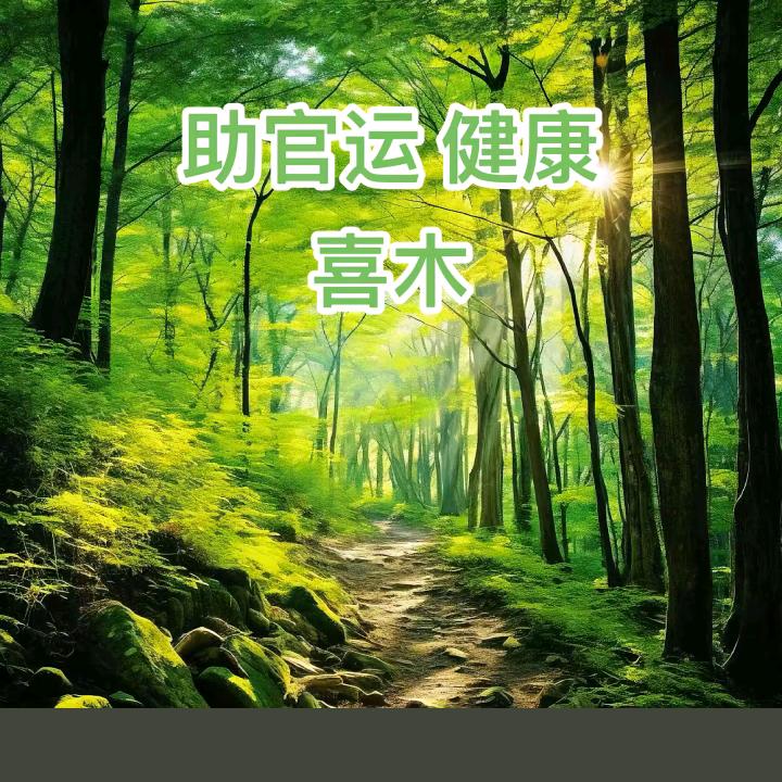 森林行者