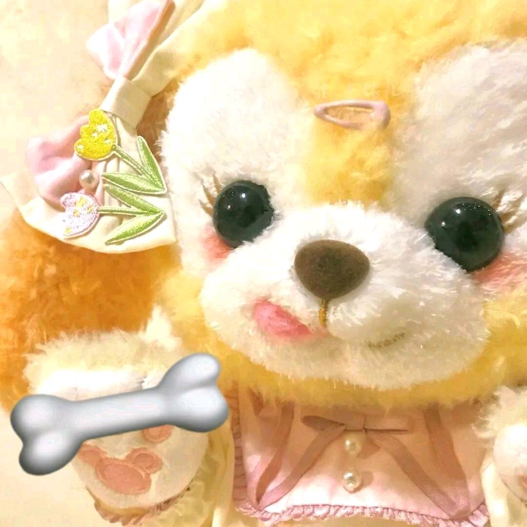 ૮₍ ˃ ⤙ ˂ ₎ა.