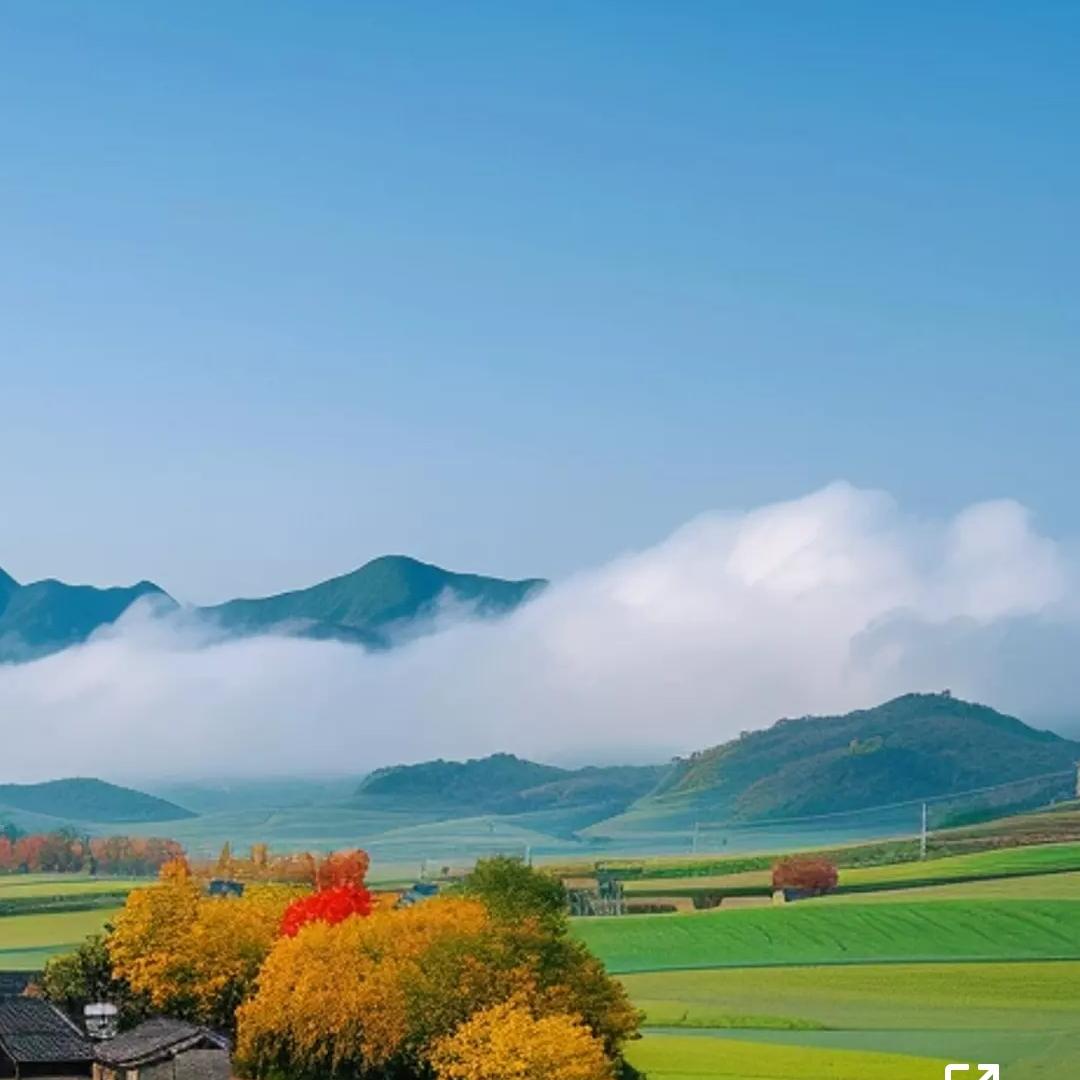 丁字雄找工作没找到谁帮帮我一下呗求死了