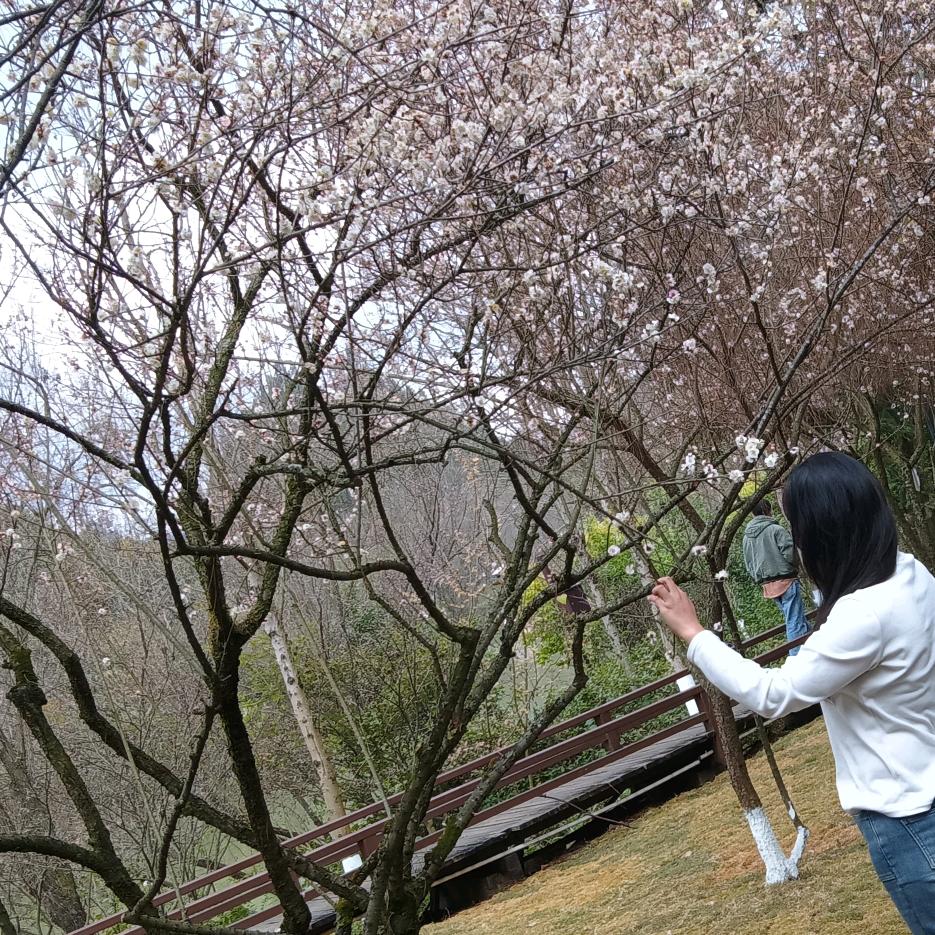 农村  土妞