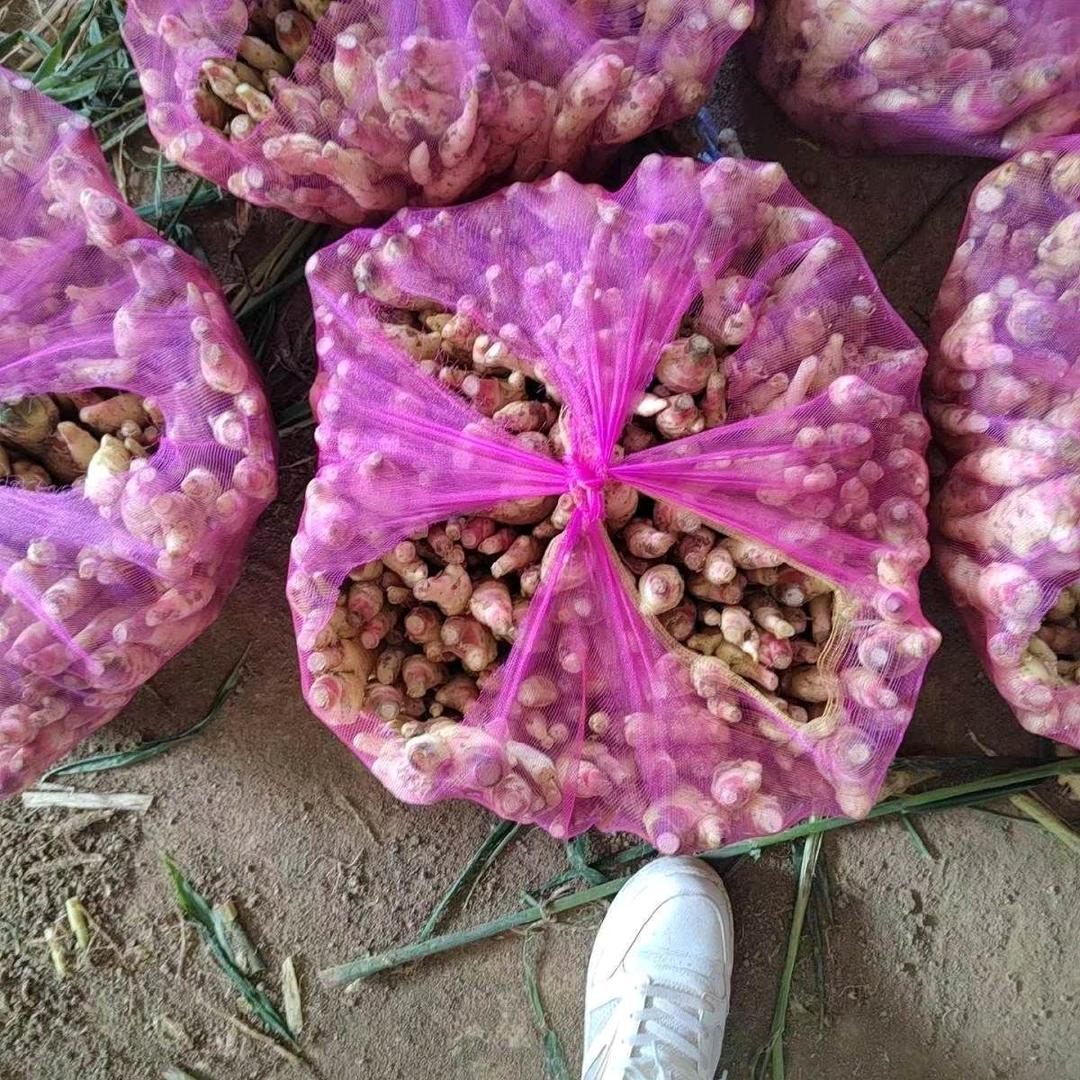 保定茂富织造