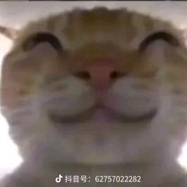 咕嘎高松灯