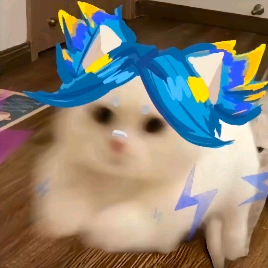 舔狗琦琦🐶