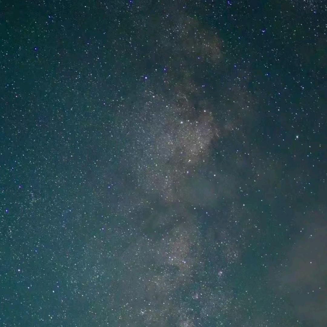 石头不发芽