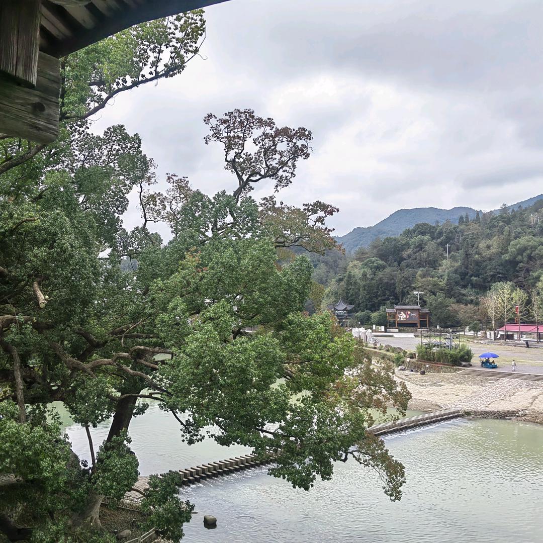 115转存资源定制