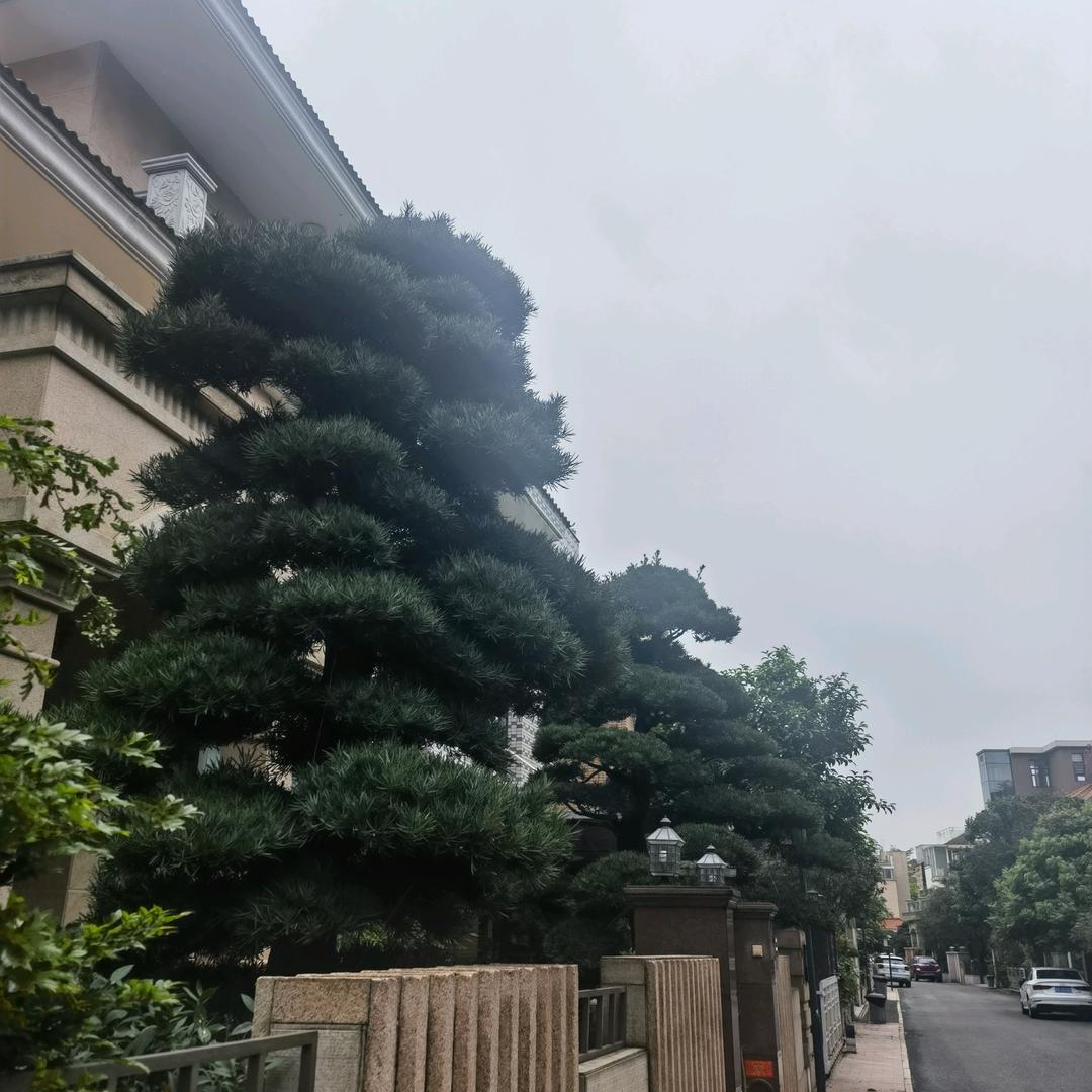 赢姐好物推荐