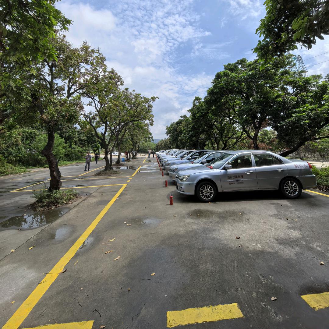 泉州恒星三金花