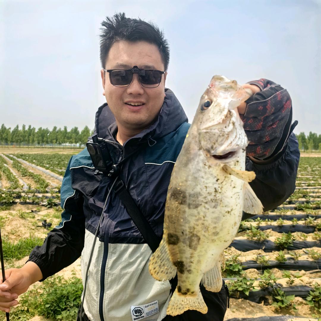 干杯小马哥