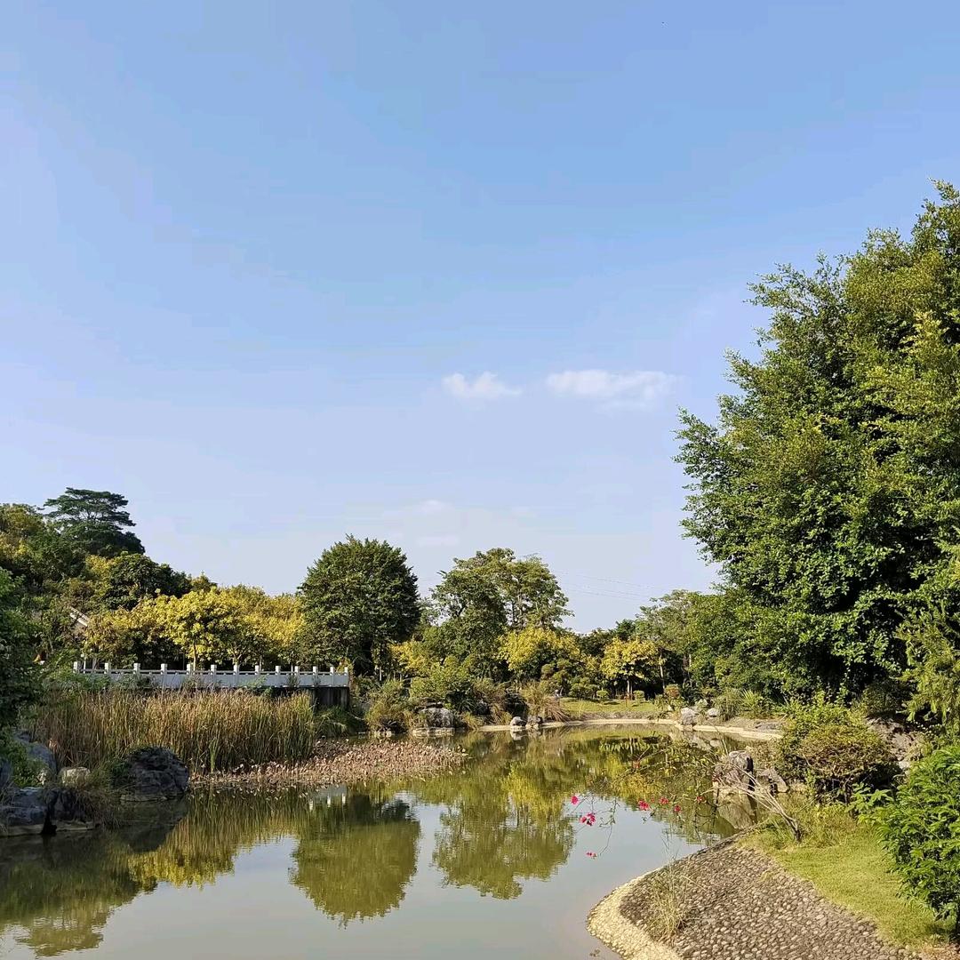 小程序测试