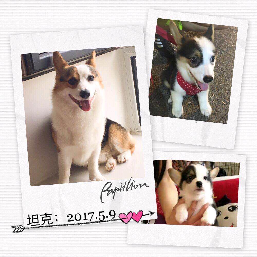 🍭🍭彩虹棒棒糖🍭🍭